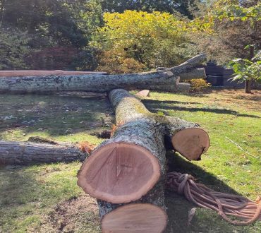 Storm Damage