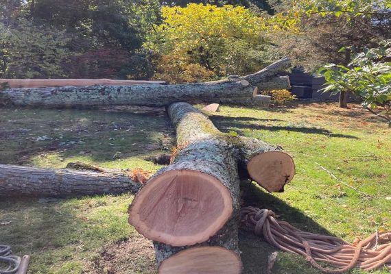 Storm Damage