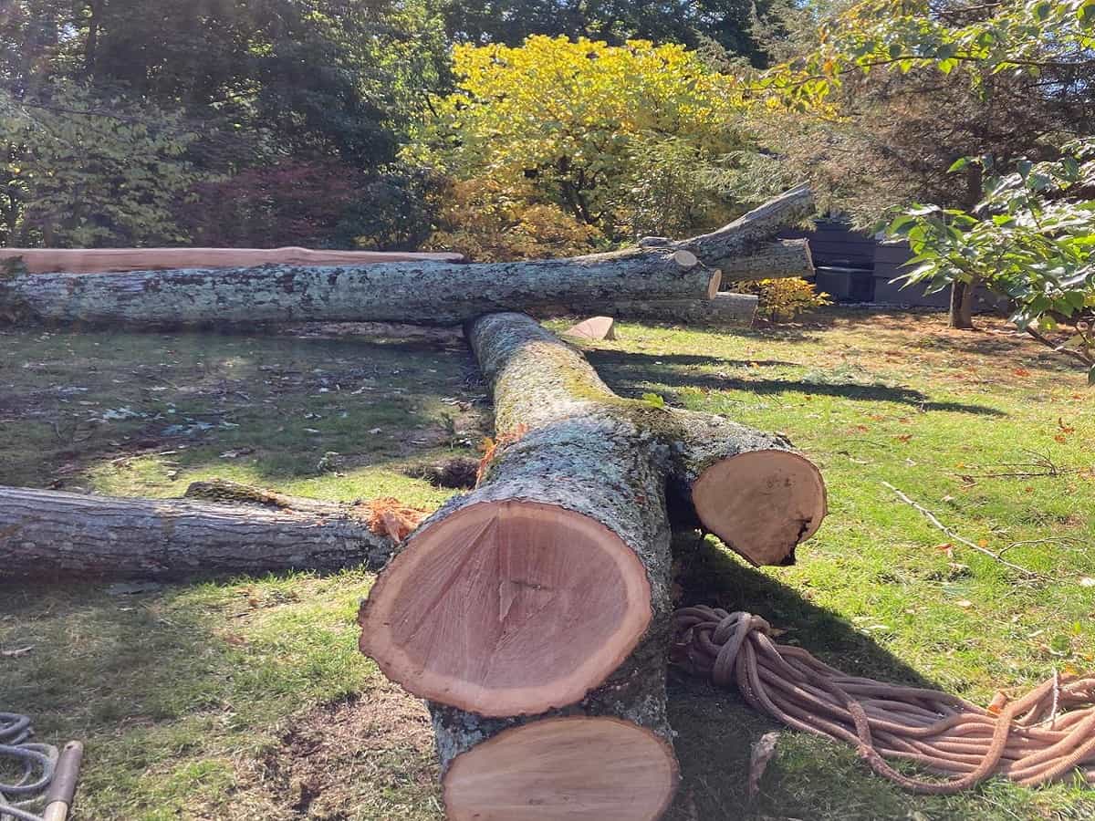 Storm Damage