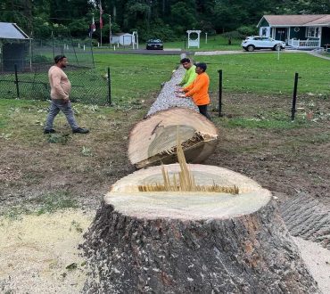 Stump Grinding