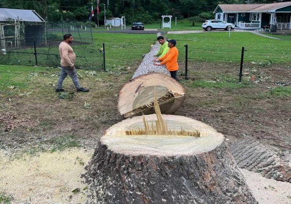 Stump Grinding