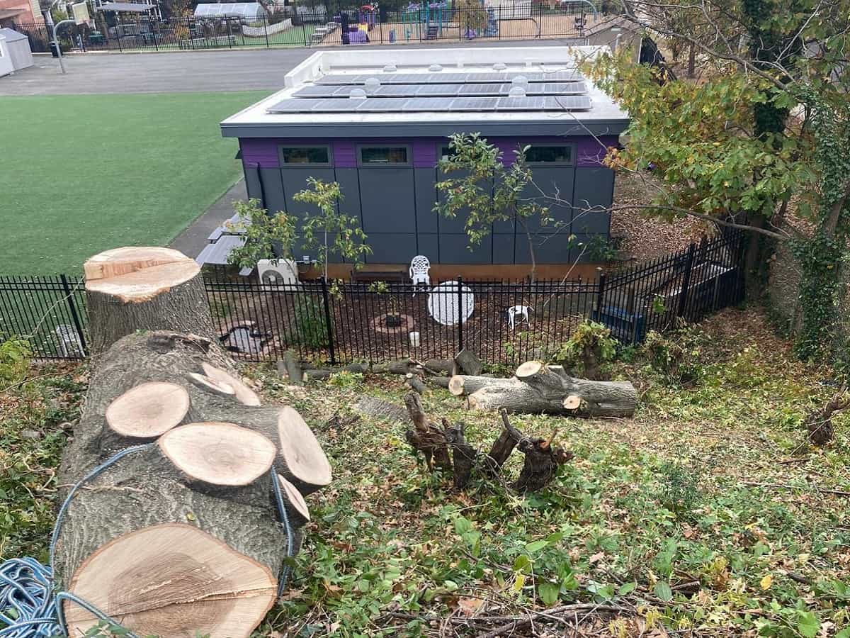 Stump Grinding in Northwest High Point, NC